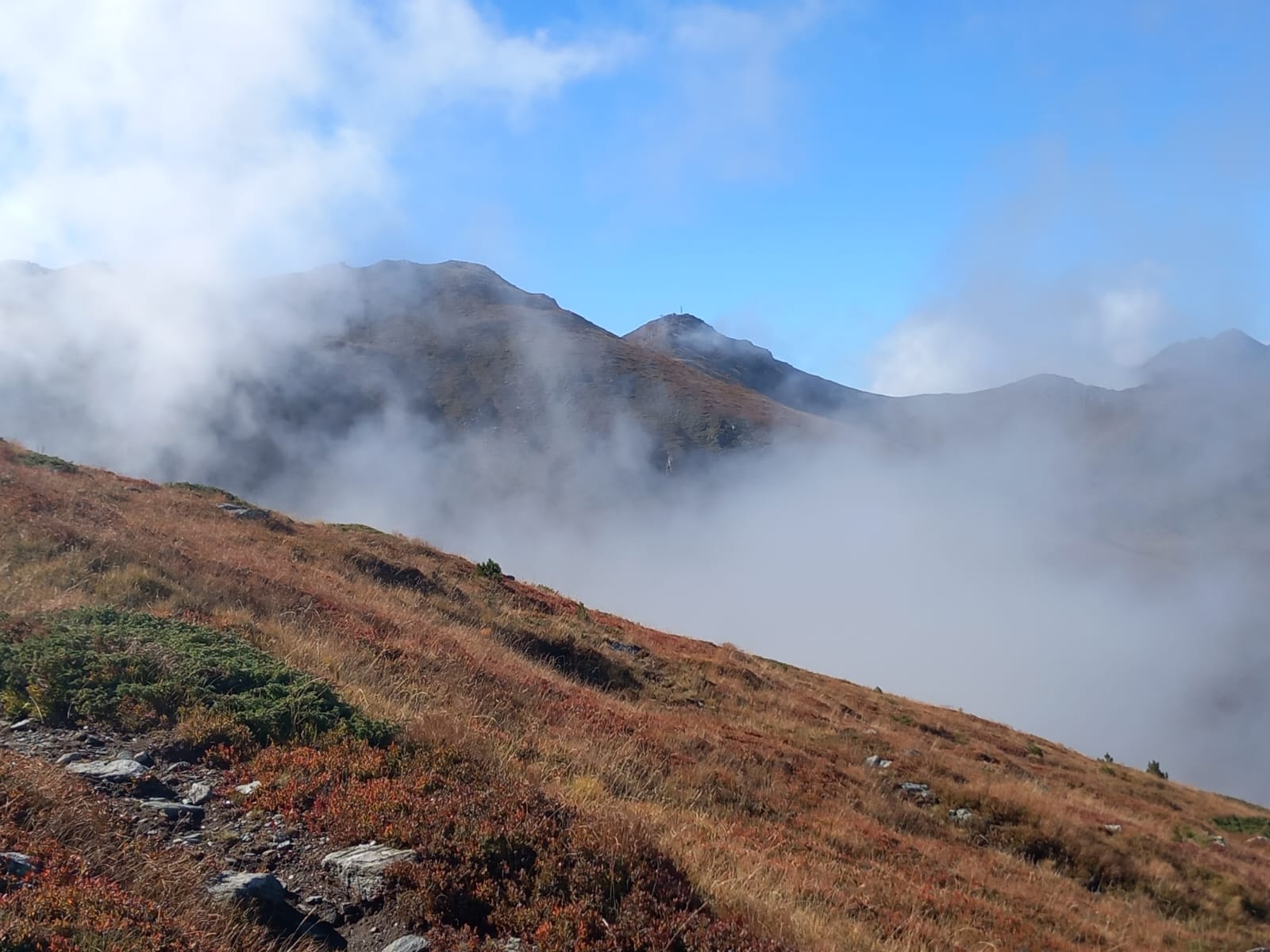 Überraschungs Tour Grün