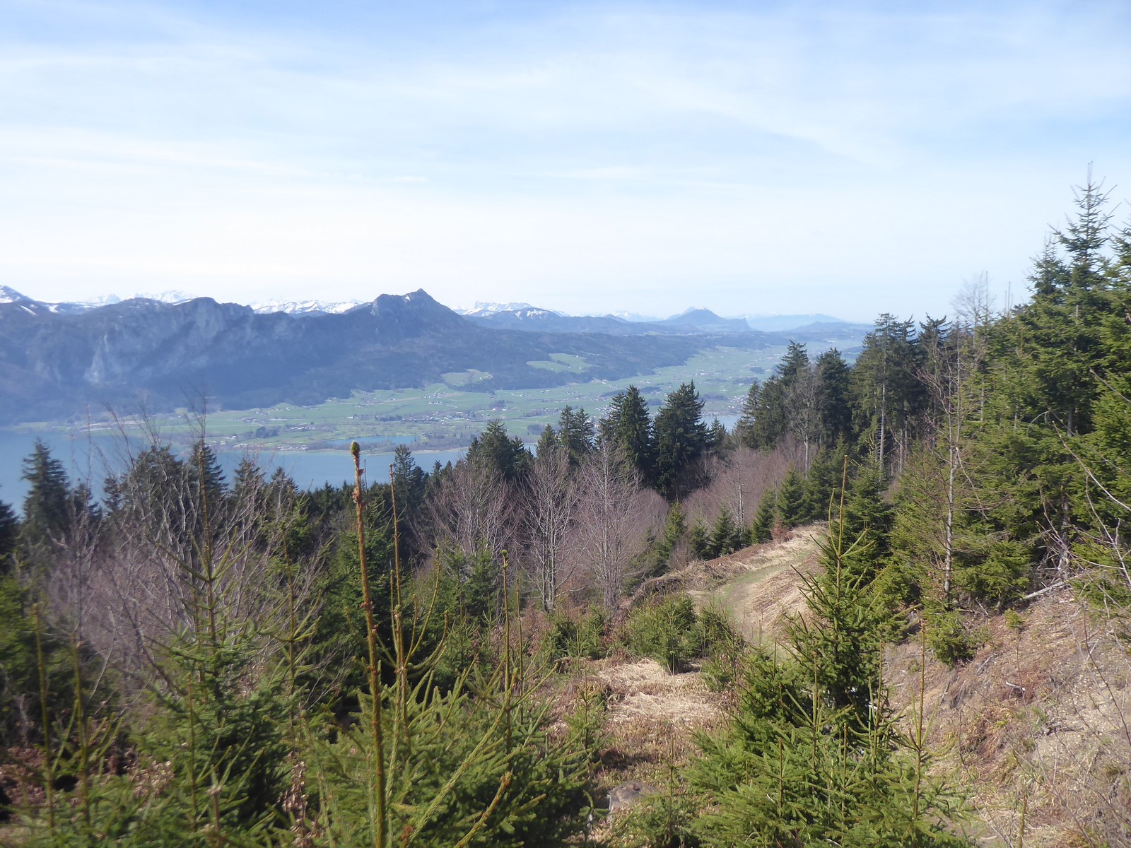 Waldgipfel Wandertour Grün